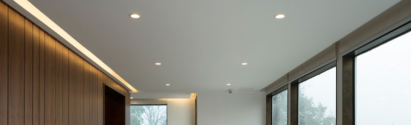 DUXERIT Downlight